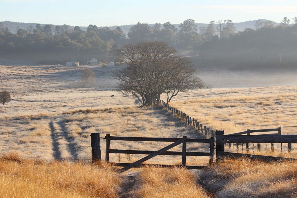 Fred&Co Advertising Tenterfield Winter Campaign